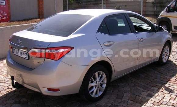 Buy Used Toyota Corolla Silver Car in Windhoek in Namibia Buy Used Toyota Corolla Silver Car in Windhoek in Namibia