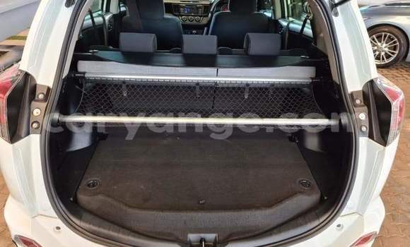 Buy Used Toyota RAV4 White Car in Rundu in Namibia Buy Used Toyota RAV4 White Car in Rundu in Namibia