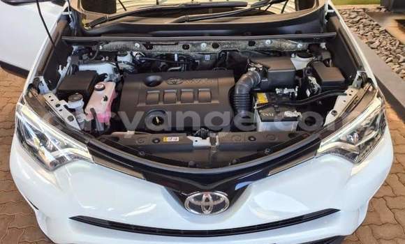 Buy Used Toyota RAV4 White Car in Rundu in Namibia Buy Used Toyota RAV4 White Car in Rundu in Namibia
