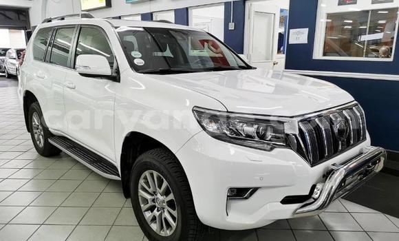Buy Used Toyota Land Cruiser Prado White Car in Windhoek in Namibia Buy Used Toyota Land Cruiser Prado White Car in Windhoek in Namibia