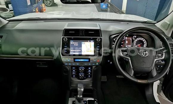 Buy Used Toyota Land Cruiser Prado White Car in Windhoek in Namibia Buy Used Toyota Land Cruiser Prado White Car in Windhoek in Namibia