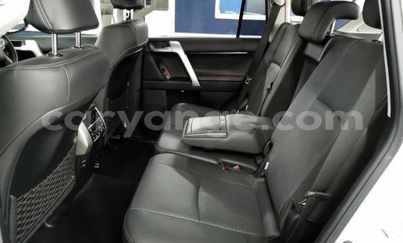 Buy Used Toyota Land Cruiser Prado White Car in Windhoek in Namibia Buy Used Toyota Land Cruiser Prado White Car in Windhoek in Namibia