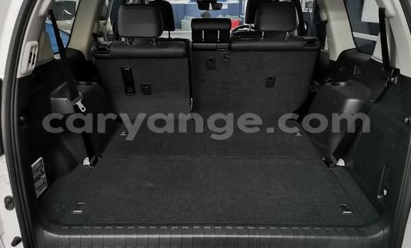 Buy Used Toyota Land Cruiser Prado White Car in Windhoek in Namibia Buy Used Toyota Land Cruiser Prado White Car in Windhoek in Namibia
