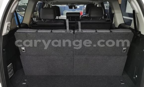 Buy Used Toyota Land Cruiser Prado White Car in Windhoek in Namibia Buy Used Toyota Land Cruiser Prado White Car in Windhoek in Namibia