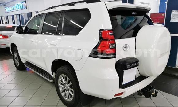 Buy Used Toyota Land Cruiser Prado White Car in Windhoek in Namibia Buy Used Toyota Land Cruiser Prado White Car in Windhoek in Namibia