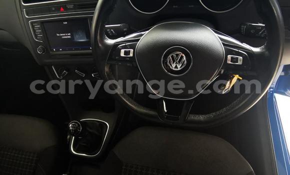Buy Used Volkswagen Polo Blue Car in Windhoek in Namibia Buy Used Volkswagen Polo Blue Car in Windhoek in Namibia