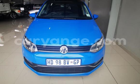 Buy Used Volkswagen Polo Blue Car in Windhoek in Namibia Buy Used Volkswagen Polo Blue Car in Windhoek in Namibia