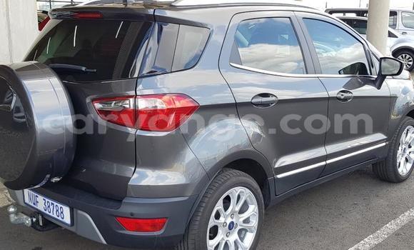 Acheter Occasion Voiture Ford EcoSport Gris à Karasburg, Karas Acheter Occasion Voiture Ford EcoSport Gris à Karasburg, Karas