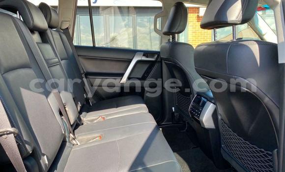 Buy Used Toyota Land Cruiser Prado Black Car in Windhoek in Namibia Buy Used Toyota Land Cruiser Prado Black Car in Windhoek in Namibia