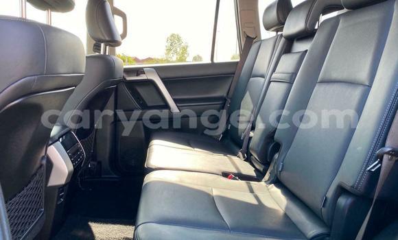 Buy Used Toyota Land Cruiser Prado Black Car in Windhoek in Namibia Buy Used Toyota Land Cruiser Prado Black Car in Windhoek in Namibia
