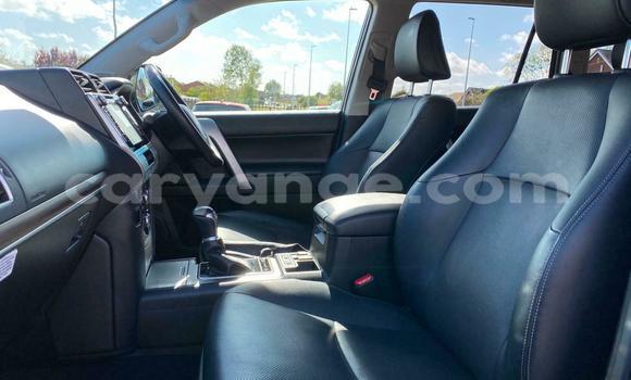 Buy Used Toyota Land Cruiser Prado Black Car in Windhoek in Namibia Buy Used Toyota Land Cruiser Prado Black Car in Windhoek in Namibia