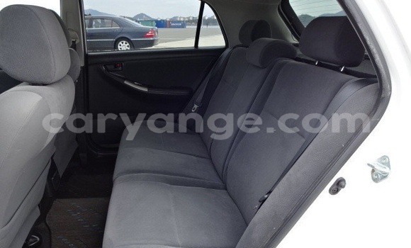 Acheter Occasion Voiture Toyota Runx Blanc à Windhoek, Namibie Acheter Occasion Voiture Toyota Runx Blanc à Windhoek, Namibie