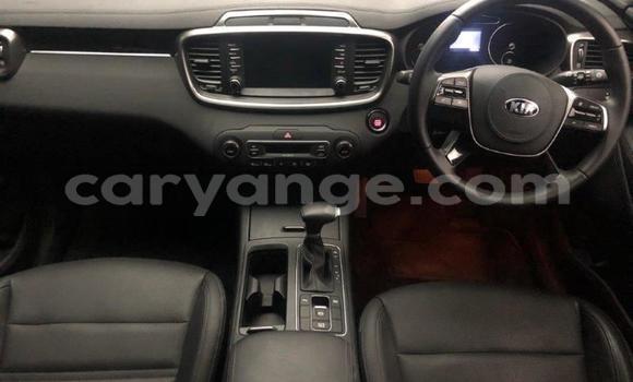 Buy Used Kia Sorento White Car in Import - Dubai in Namibia Buy Used Kia Sorento White Car in Import - Dubai in Namibia