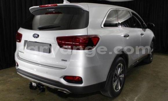 Buy Used Kia Sorento White Car in Import - Dubai in Namibia Buy Used Kia Sorento White Car in Import - Dubai in Namibia