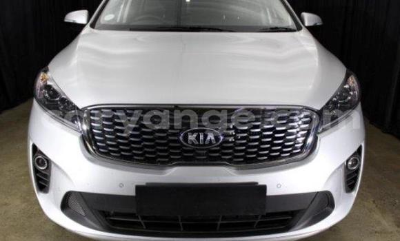 Buy Used Kia Sorento White Car in Import - Dubai in Namibia Buy Used Kia Sorento White Car in Import - Dubai in Namibia