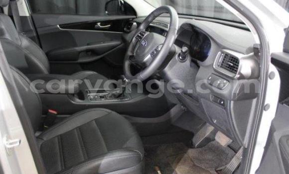 Buy Used Kia Sorento White Car in Import - Dubai in Namibia Buy Used Kia Sorento White Car in Import - Dubai in Namibia