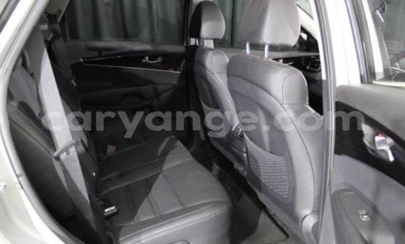 Buy Used Kia Sorento White Car in Import - Dubai in Namibia Buy Used Kia Sorento White Car in Import - Dubai in Namibia