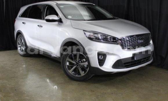 Buy Used Kia Sorento White Car in Import - Dubai in Namibia Buy Used Kia Sorento White Car in Import - Dubai in Namibia