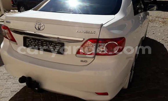 Buy Used Toyota Corolla White Car in Arandis in Kunene Buy Used Toyota Corolla White Car in Arandis in Kunene