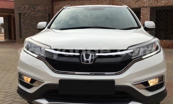 Buy Used Honda CR–V White Car in Arandis in Kunene