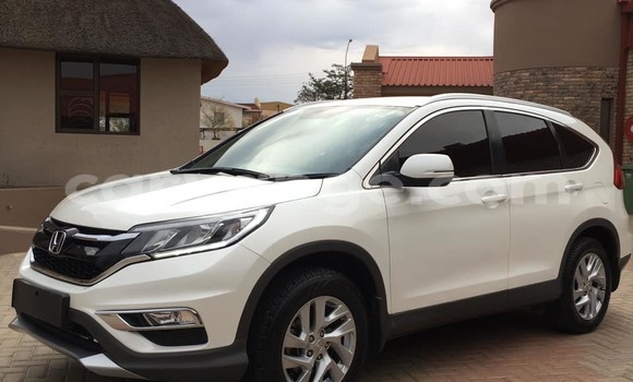 Buy Used Honda CR–V White Car in Arandis in Kunene Buy Used Honda CR–V White Car in Arandis in Kunene