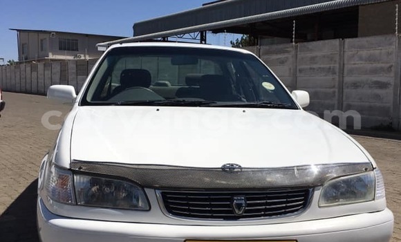 Buy Used Toyota Corolla White Car in Arandis in Kunene