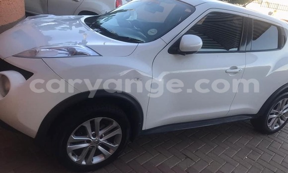 Buy Used Nissan Juke White Car in Windhoek in Namibia Buy Used Nissan Juke White Car in Windhoek in Namibia