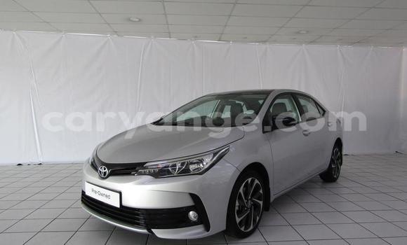 Buy Used Toyota Corolla Silver Car in Gobabis in Omaheke