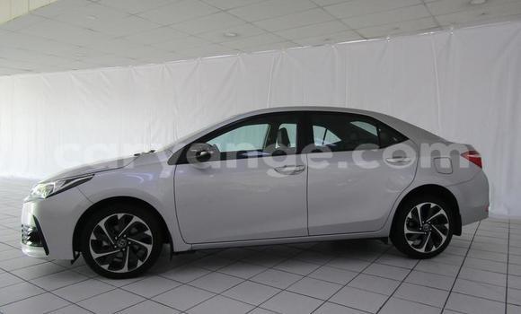 Acheter Occasion Voiture Toyota Corolla Gris à Gobabis, Omaheke Acheter Occasion Voiture Toyota Corolla Gris à Gobabis, Omaheke