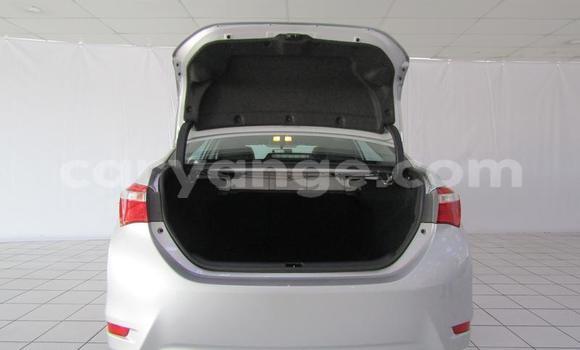 Acheter Occasion Voiture Toyota Corolla Gris à Gobabis, Omaheke Acheter Occasion Voiture Toyota Corolla Gris à Gobabis, Omaheke