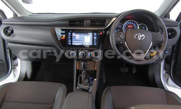 Acheter Occasion Voiture Toyota Corolla Gris à Gobabis, Omaheke Acheter Occasion Voiture Toyota Corolla Gris à Gobabis, Omaheke