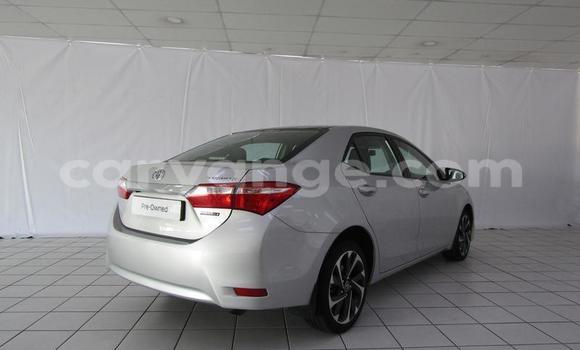 Acheter Occasion Voiture Toyota Corolla Gris à Gobabis, Omaheke Acheter Occasion Voiture Toyota Corolla Gris à Gobabis, Omaheke