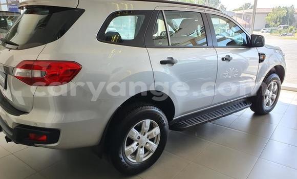 Buy Used Ford Everest White Car in Grootfontein in Namibia Buy Used Ford Everest White Car in Grootfontein in Namibia