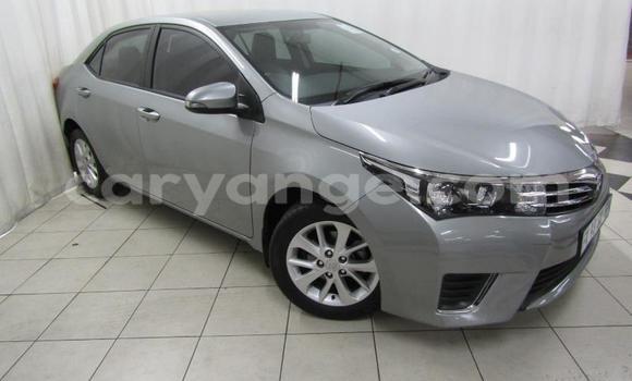 Buy Used Toyota Corolla Silver Car in Gobabis in Omaheke