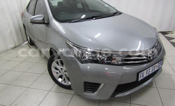 Acheter Occasion Voiture Toyota Corolla Gris à Gobabis, Omaheke Acheter Occasion Voiture Toyota Corolla Gris à Gobabis, Omaheke