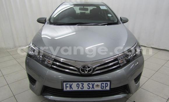 Acheter Occasion Voiture Toyota Corolla Gris à Gobabis, Omaheke Acheter Occasion Voiture Toyota Corolla Gris à Gobabis, Omaheke