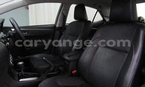 Acheter Occasion Voiture Toyota Corolla Gris à Gobabis, Omaheke Acheter Occasion Voiture Toyota Corolla Gris à Gobabis, Omaheke