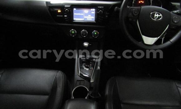 Acheter Occasion Voiture Toyota Corolla Gris à Gobabis, Omaheke Acheter Occasion Voiture Toyota Corolla Gris à Gobabis, Omaheke