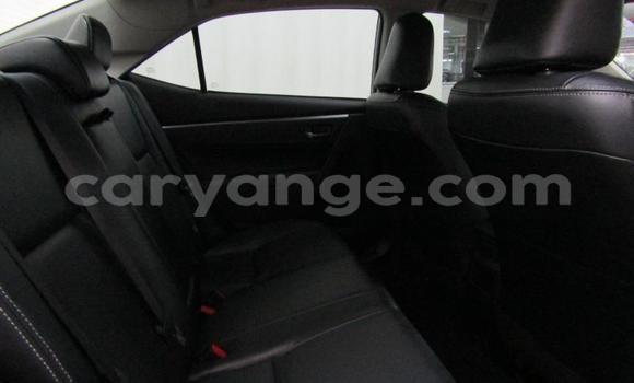 Acheter Occasion Voiture Toyota Corolla Gris à Gobabis, Omaheke Acheter Occasion Voiture Toyota Corolla Gris à Gobabis, Omaheke