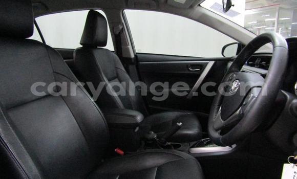 Acheter Occasion Voiture Toyota Corolla Gris à Gobabis, Omaheke Acheter Occasion Voiture Toyota Corolla Gris à Gobabis, Omaheke