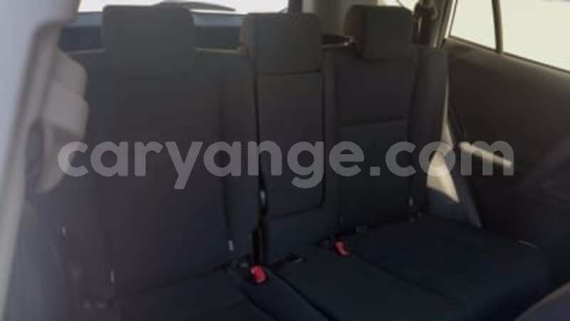 Big with watermark 2392152 8