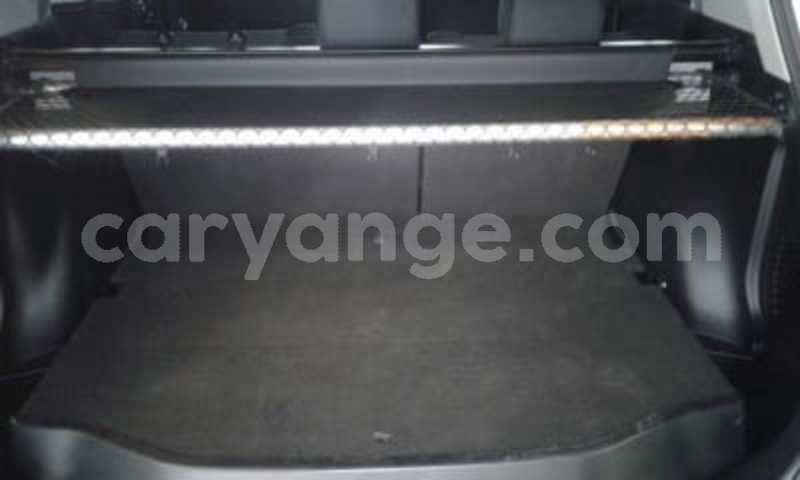 Big with watermark 2739010 8