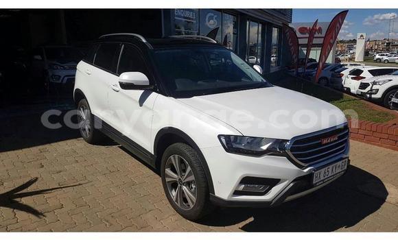 Buy Used Haval H6 Coupe White Car in Windhoek in Namibia