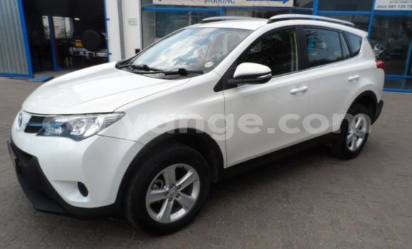 Buy Used Toyota RAV4 White Car in Walvis Bay in Namibia Buy Used Toyota RAV4 White Car in Walvis Bay in Namibia