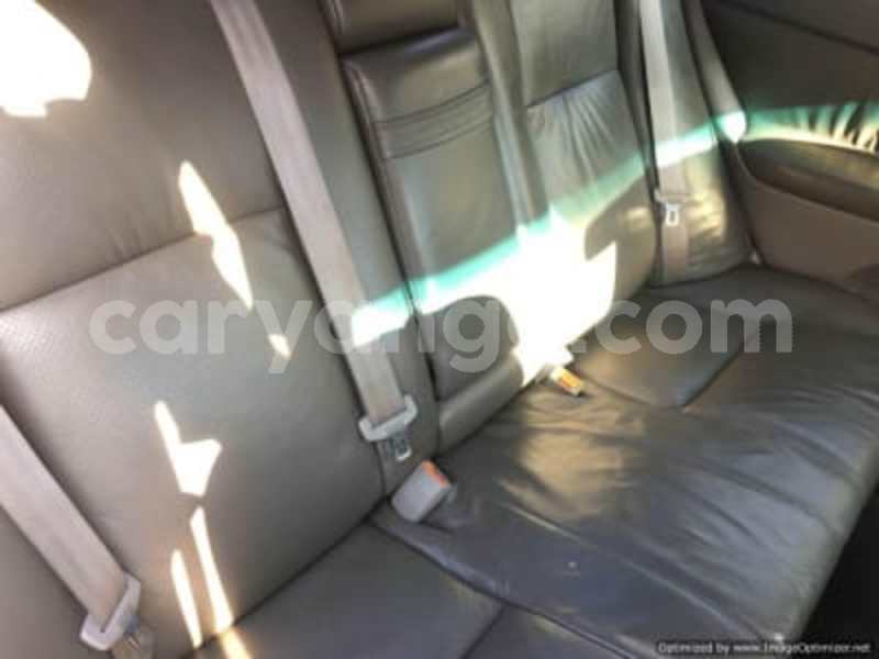 Big with watermark 2822290 4