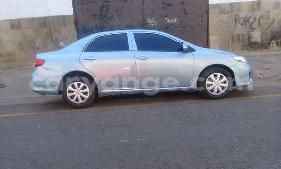 Buy Used Toyota Corolla Blue Car in Windhoek in Namibia Buy Used Toyota Corolla Blue Car in Windhoek in Namibia