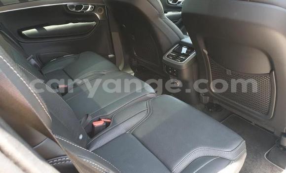 Buy Used Volvo XC90 White Car in Karasburg in Karas Buy Used Volvo XC90 White Car in Karasburg in Karas