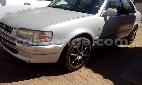 Buy Used Toyota Corolla Silver Car in Windhoek in Namibia Buy Used Toyota Corolla Silver Car in Windhoek in Namibia