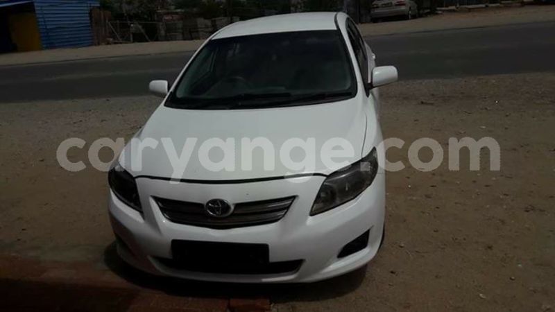 Big with watermark 24959109 1372679829509431 2290911251372580814 o