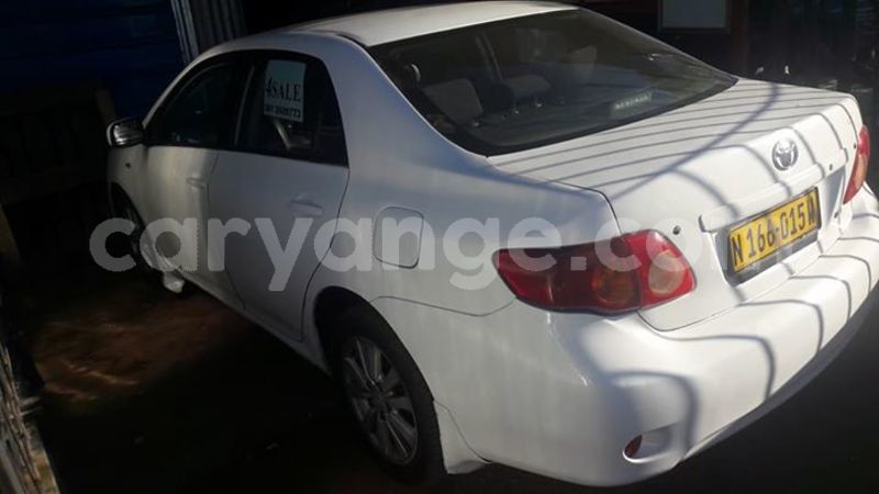 Big with watermark 25075045 1436706473124388 2663118157098388861 o